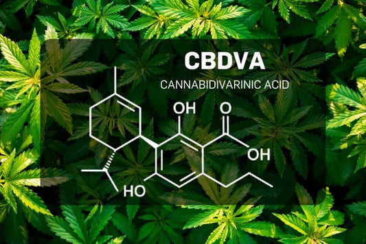 CBDVA molecular structure over hemp leaves