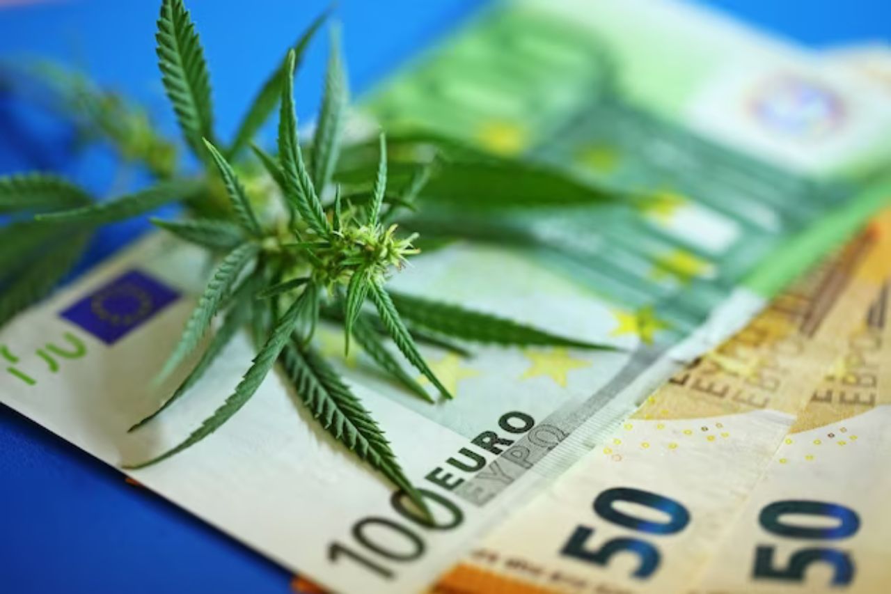 The Impact Of German Cannabis Legalization On Europe's Emerging Indust