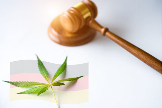 Cannabis Legalisation in Germany