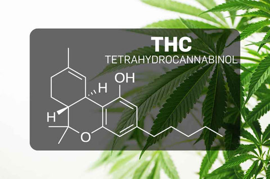What is THC?