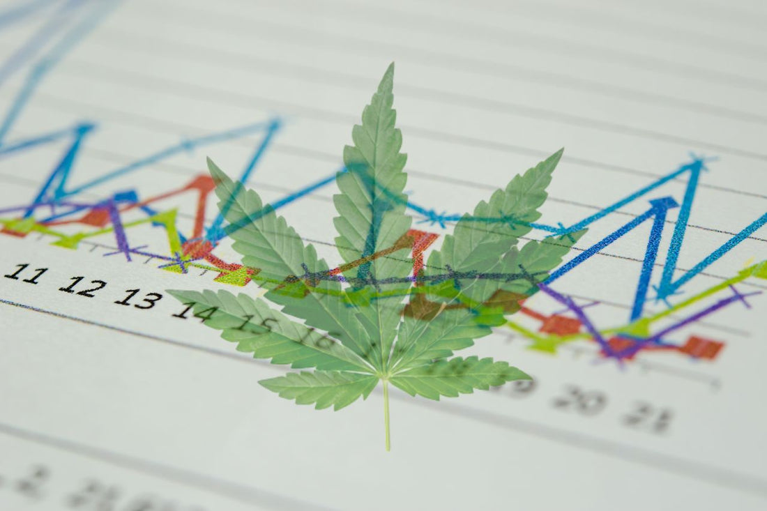 The global emergence and impact of medical cannabis