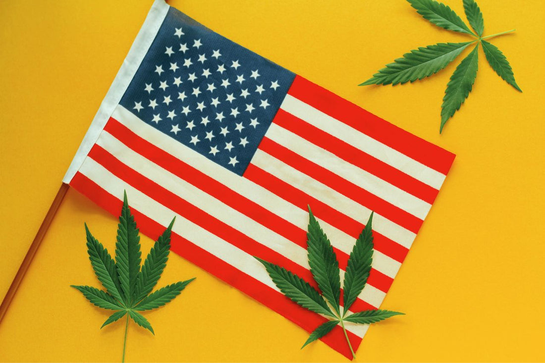 U.S. Health authorities eye federal cannabis legalization