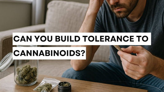 Man pondering cannabinoids tolerance at home