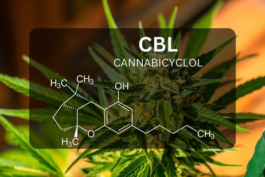 What is CBL (Cannabicyclol)?