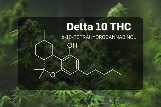 Delta 10 THC molecule on cannabis background