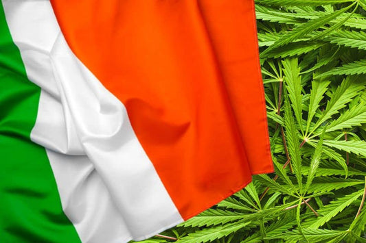 Italian flag with hemp leaves on a background
