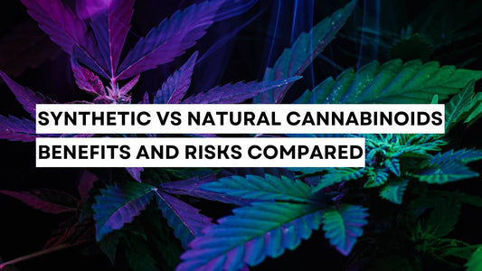 Synthetic vs natural cannabinoids comparison concept