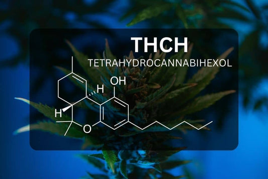 THCH chemical structure with cannabis/marijuana flower on the background