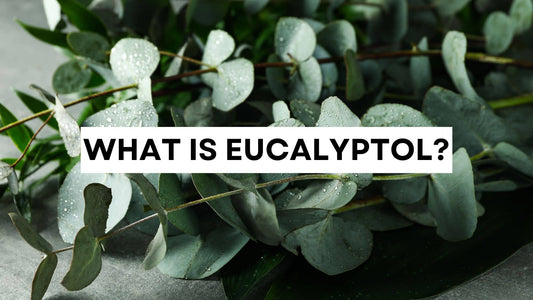 What is eucalyptol? Fresh eucalyptus leaves