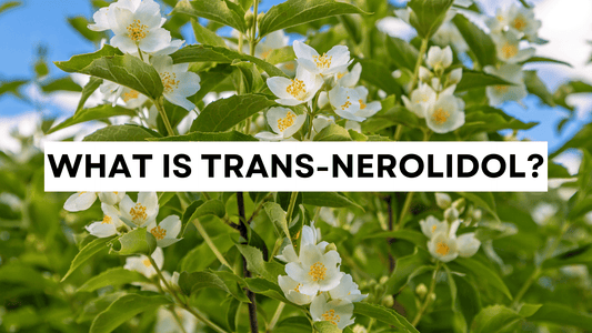 What is trans-nerolidol? Jasmine plants as context