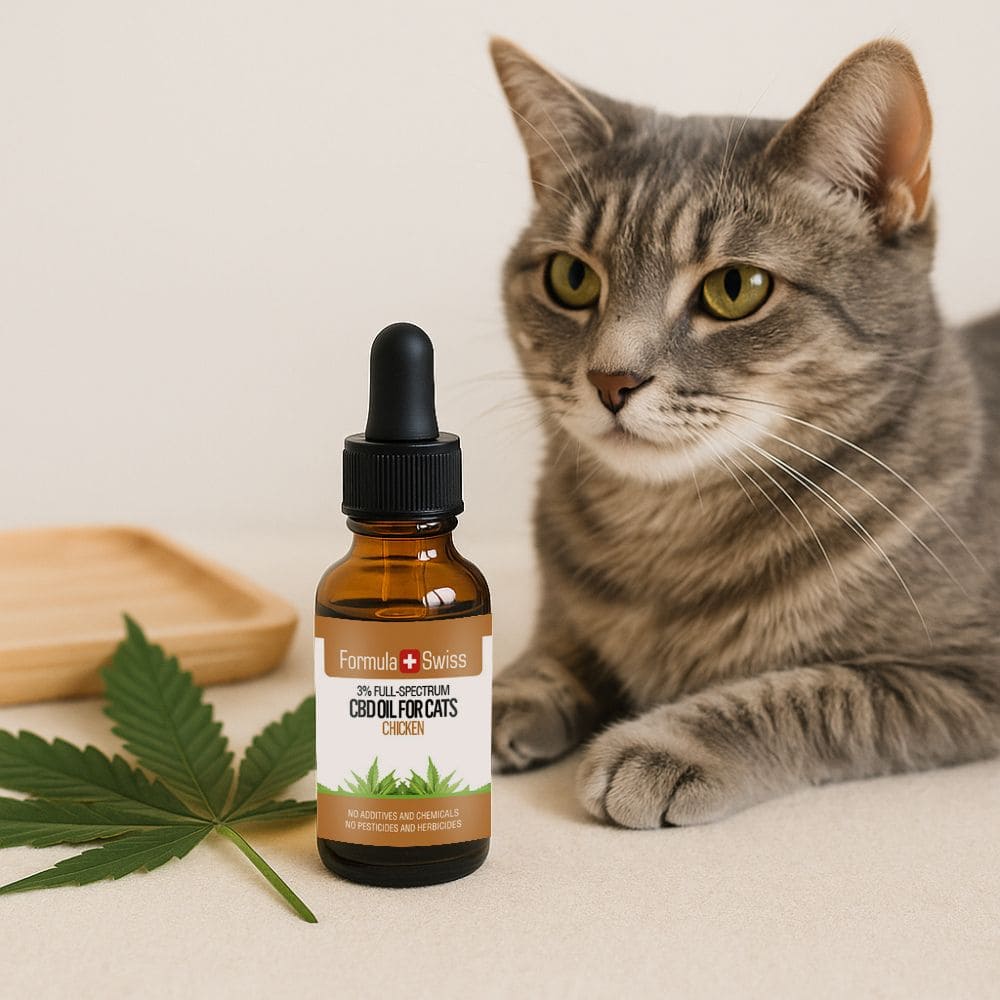 CBD oil for cats chicken