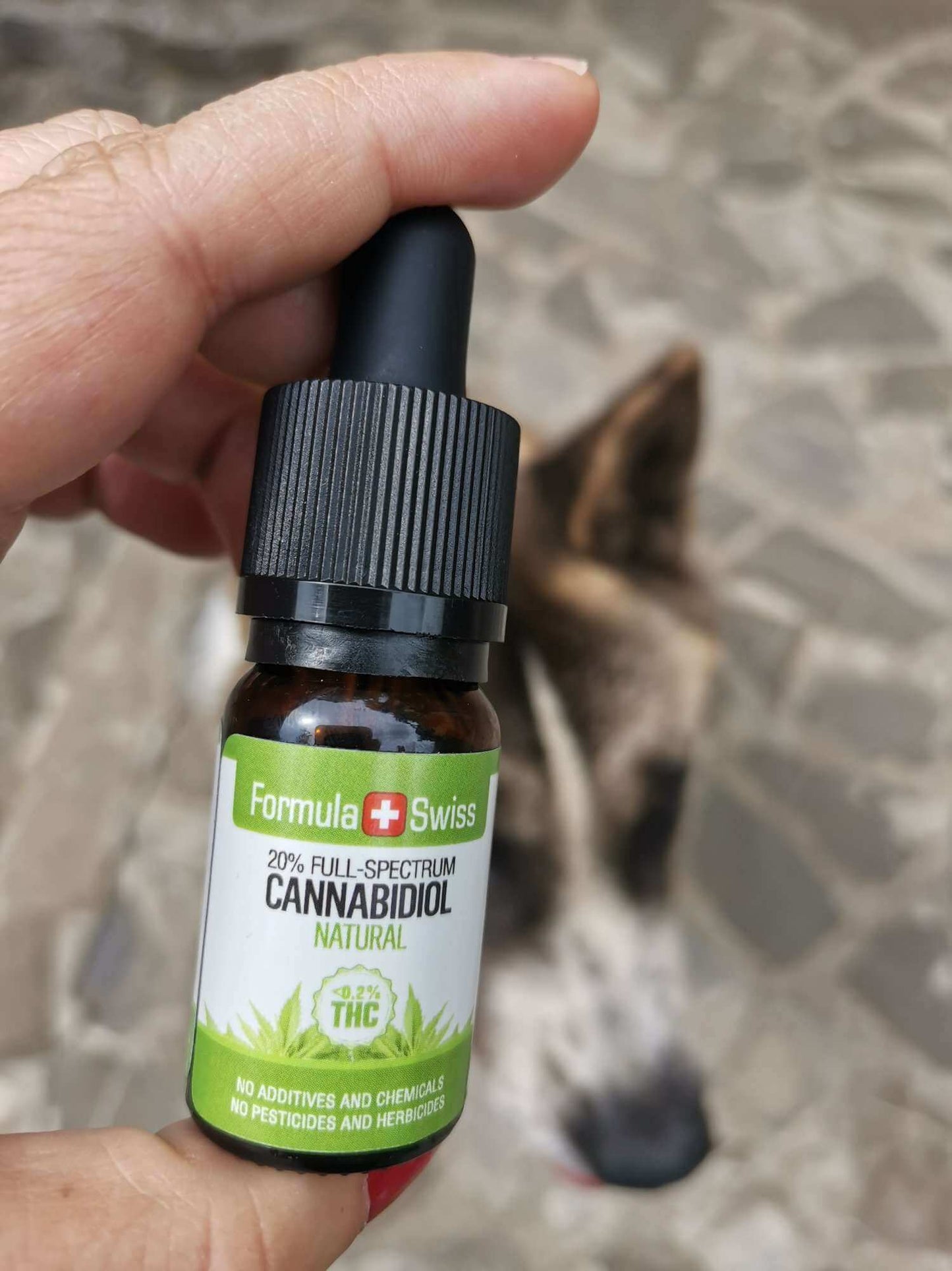 Formula Swiss Organic CBD Oil in Natural Oil