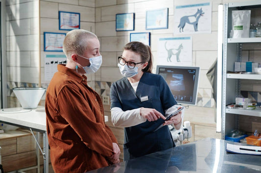 veterinarian talking to a client