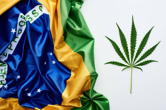 Brazil flag and cannabis leaf