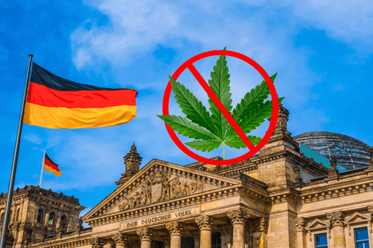 Bundesärztekammer President Against Cannabis Legalisation