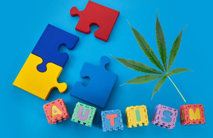 A puzzle symbolizing autism and a Cannabis leaf