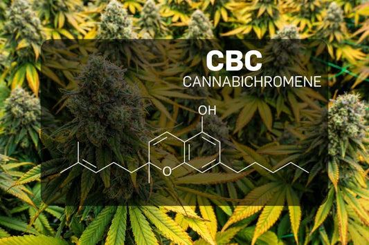 Cannabichromene (CBC)