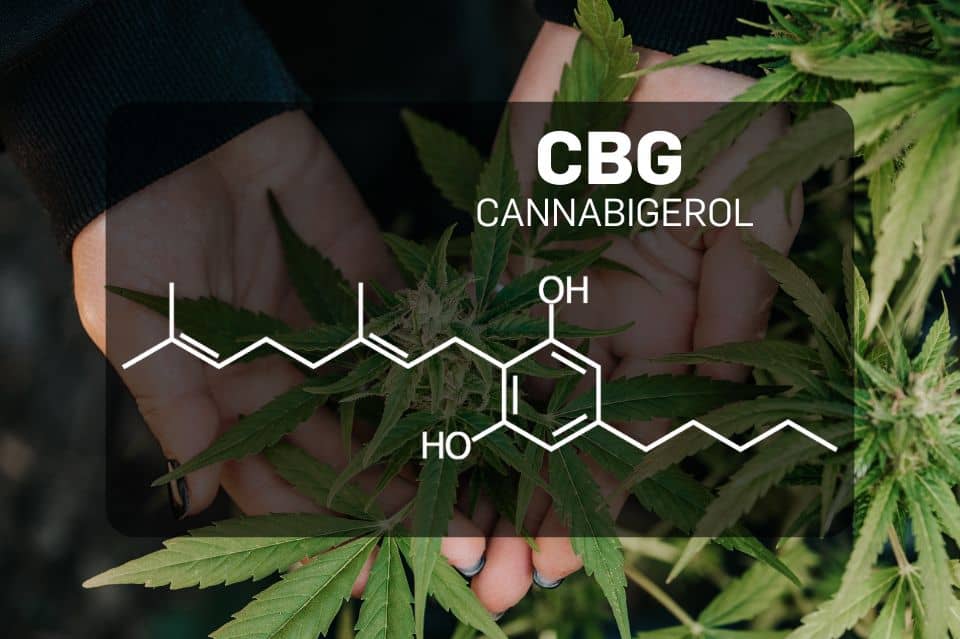 CBG molecular image