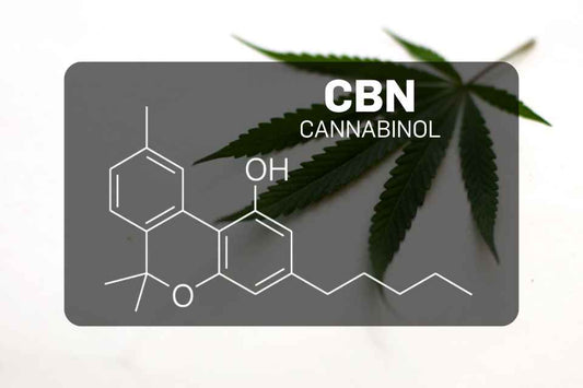 Cannabinol chemical structure