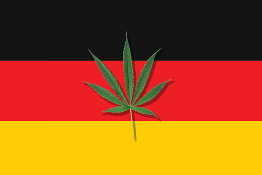 Cannabis Legalisation in Germany