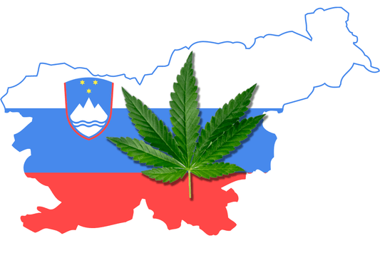 Cannabis Opponents in Slovenia