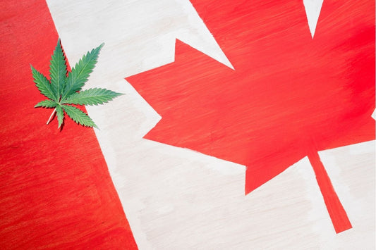 Cannabis Leaf on Canadian Flag