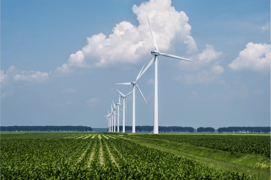 Harnessing the Power of Wind with Hemp