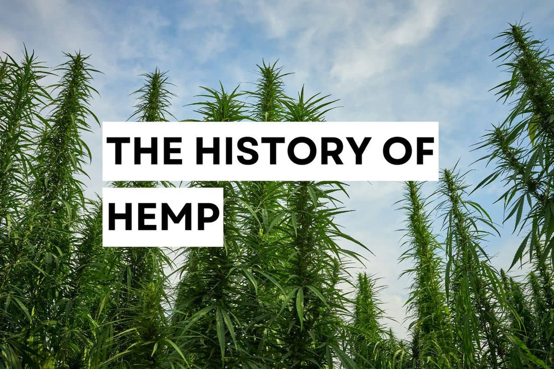 The history of hemp