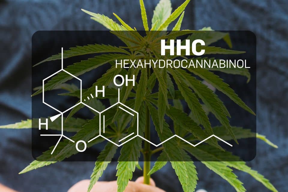 Chemical structure of HHC (Hexahydrocannabinol)