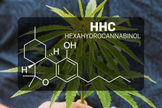Chemical structure of HHC (Hexahydrocannabinol)