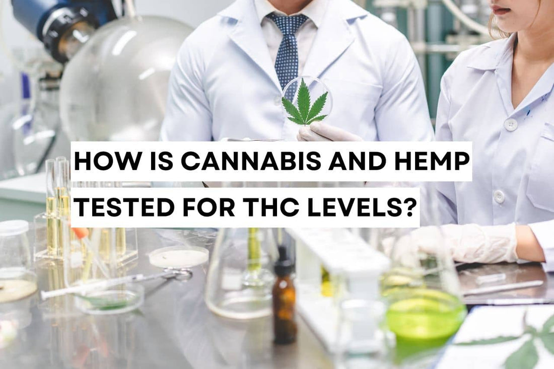 How is cannabis and hemp tested for THC levels