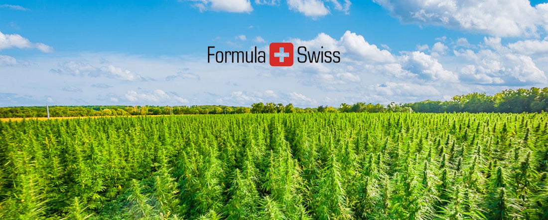 How Industrial Hemp plays a major role in reducing CO2 pollution worldwide
