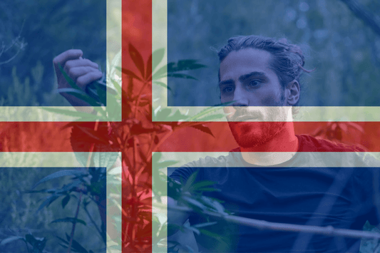 Iceland Proposes Medical Cannabis 