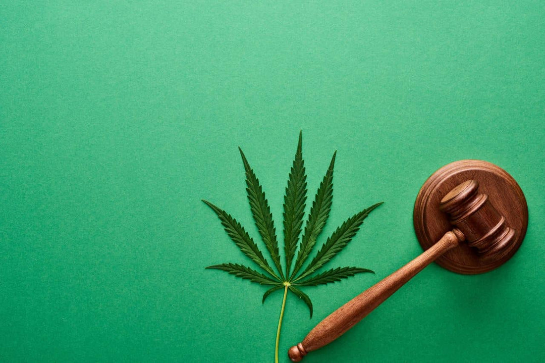 cannabis leaf and gavel