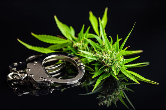 Cannabis and handcuffs