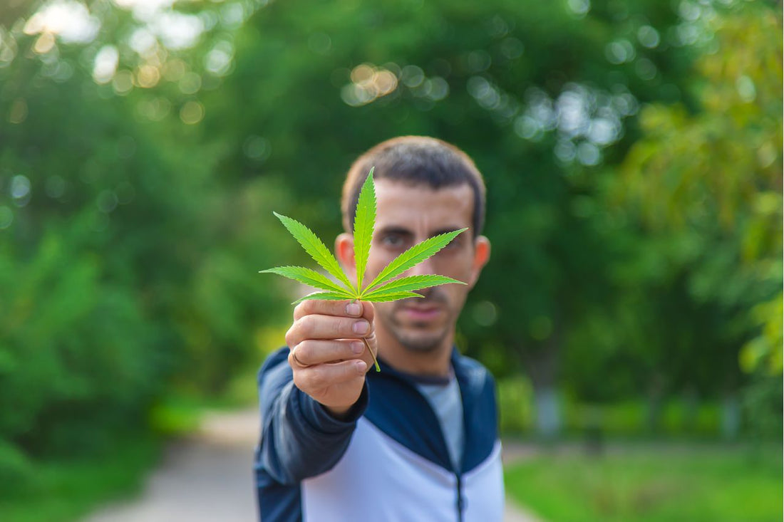 Israel's Medical Cannabis Policy