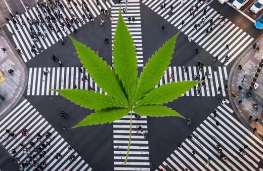 Ginza, Tokyo. and a cannabis leaf