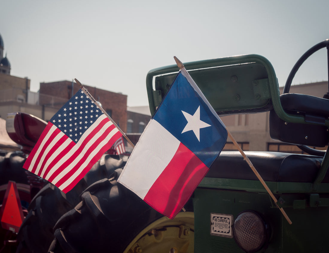 American and Texas Flag