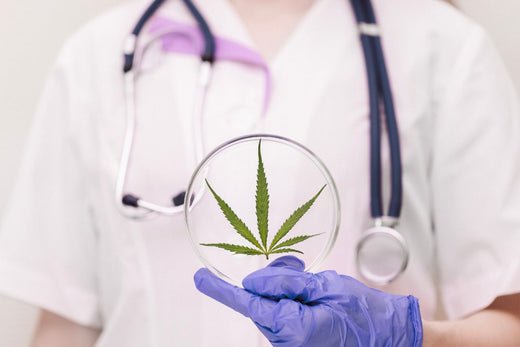 Medical professional holding a cannabis leaf