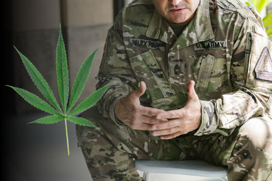 Cannabis Enhances Veterans' Lives