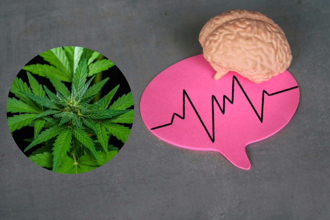 Cannabis for Neurological Treatment