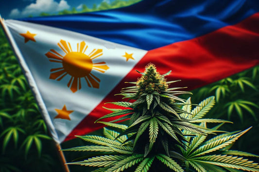 Cannabis Plant and Philippine Flag