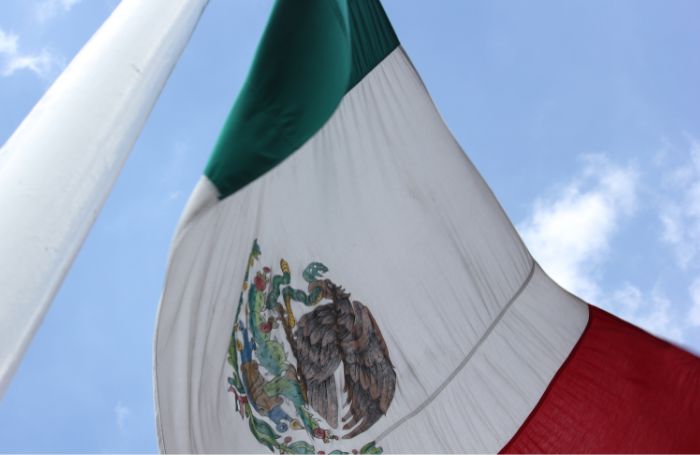 Waving flag of Mexico