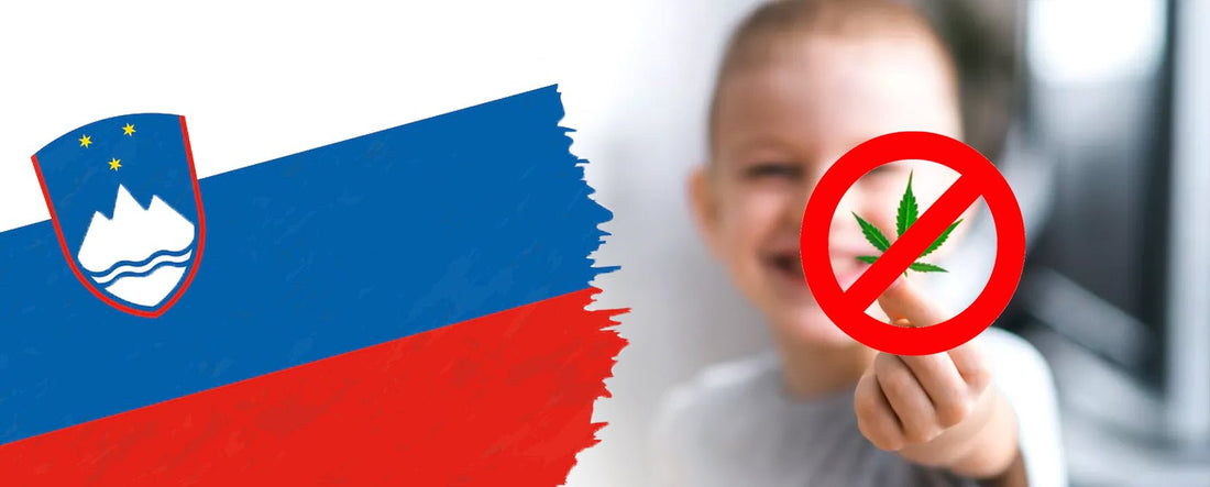 Slovenia bans CBD after local producers poison children