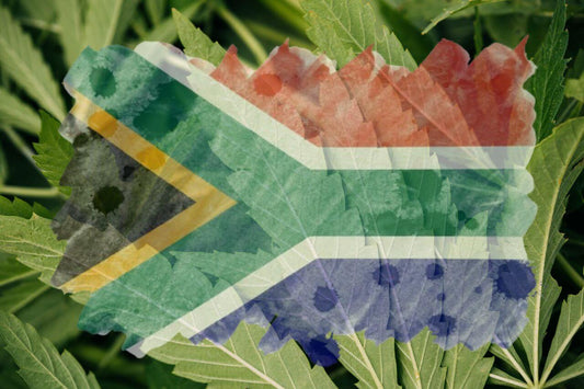 African flag and cannabis leaf 