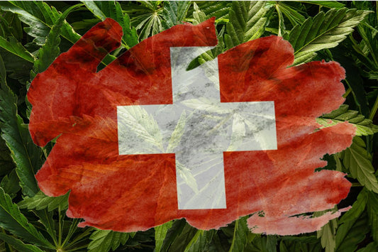 Swiss Flag with cannabis plant on the background