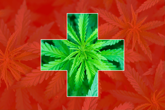 Switzerland's Approach to Cannabis