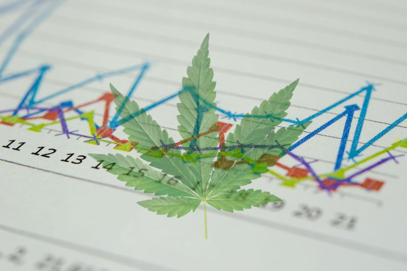 The global emergence and impact of medical cannabis