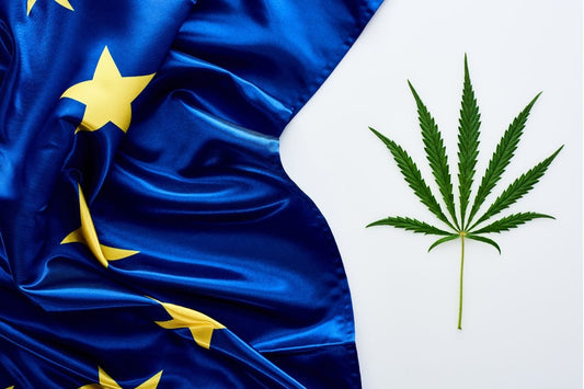 The Prevalence of Cannabis in Europe