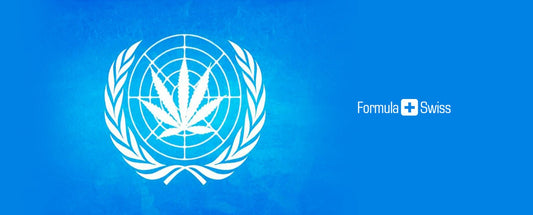 United Nations Panel releases first-ever review of marijuana